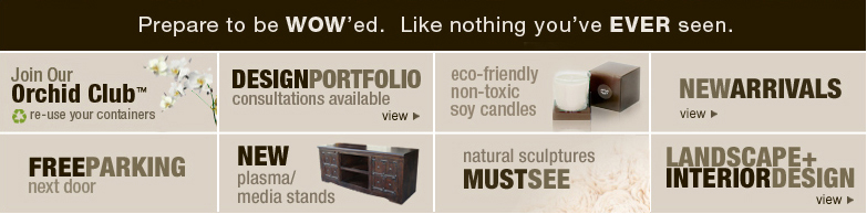 orchid club, overstock sale, la brea, west hollywood, scented soy candles, new furniture