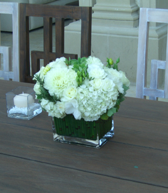 floral design, orchid and plants, floral design