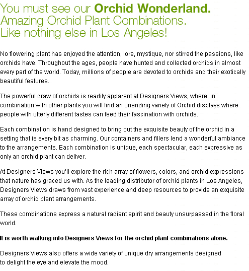 orchids and plants