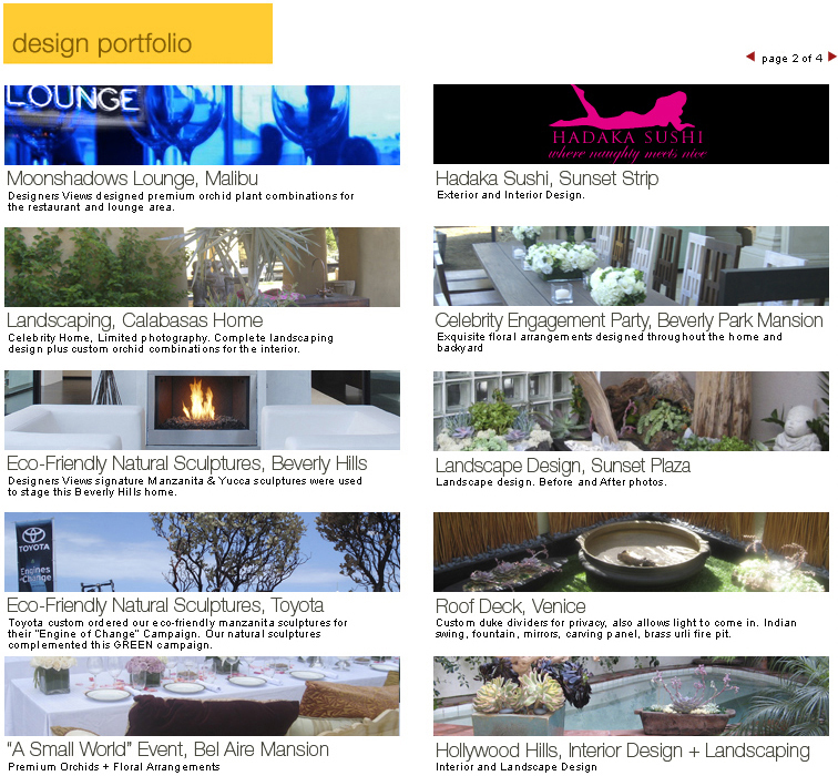 designer views design portfolio