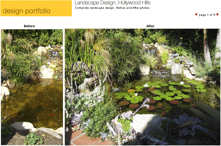 landscape design, west hollywood, hollywood hills